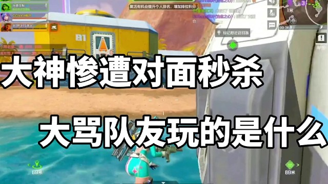 大神惨遭对面秒杀，大骂队友玩的是什么