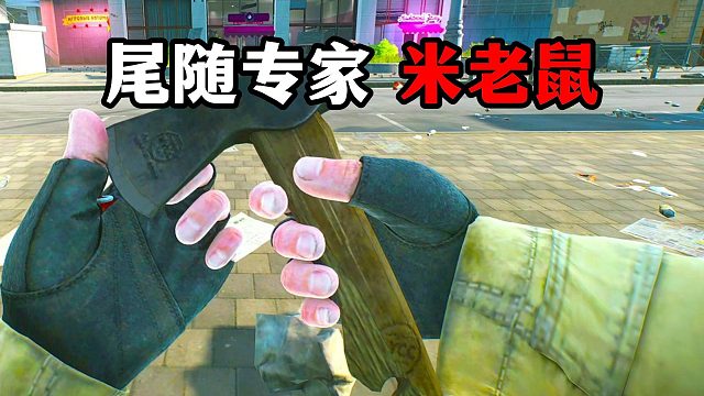 尾随专家米老鼠 逃离塔科夫