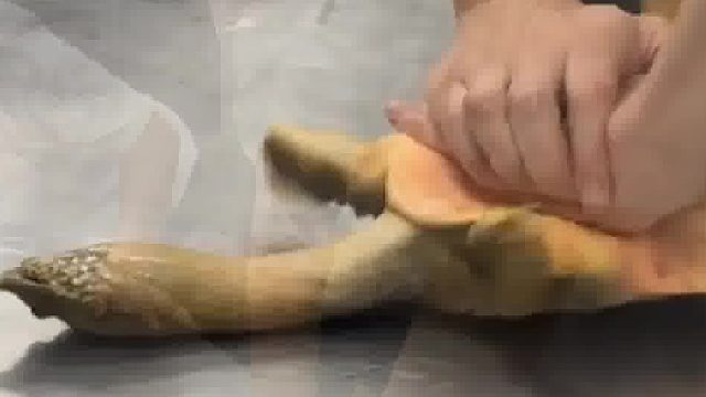 憋：你人怪好的，谢谢你救了我