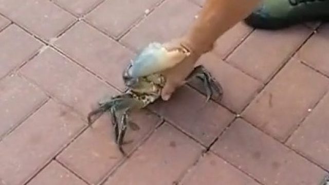 对得起这身衣服