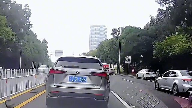 雷克萨斯的车是真的慢[Doge]遇到好多次了？