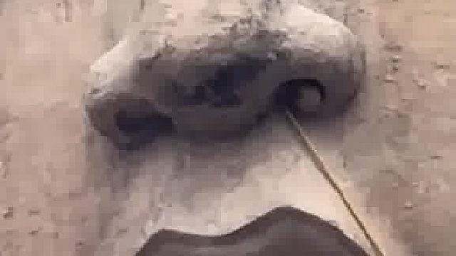 请给这项工作取个名字……