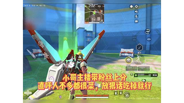 小哥主播带粉上分，直呼对面都是菜鸡随便打