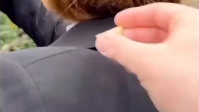 他乡遇故知，高兴得合不拢嘴