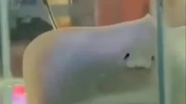 就是你小子想吃我？he～tui！