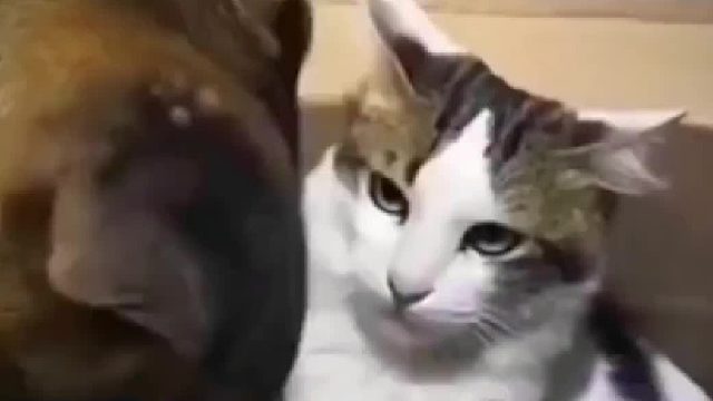 来来来，当着面你还下手我看看。