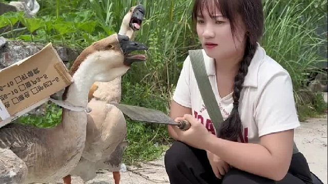 鸭：我今天可干活了，你们不要点我名了……