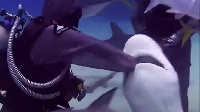 遇见一个医闹的，就结束了。