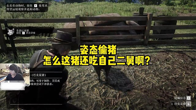 【姿态】姿态玩荒野大镖客2偷猪，这猪怎么还吃自己二舅啊？