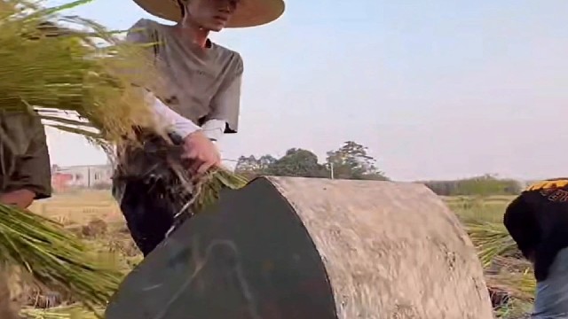 阿顺，暗河，晚暮，马冬梅，阿威，妒子，赴月，海王等