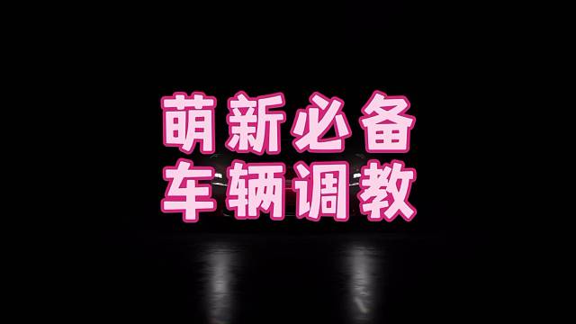 巅峰极速调车宝典