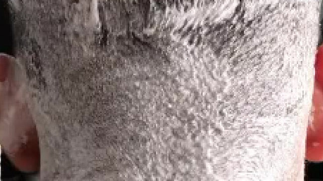 现在有K了，请让恐龙先生把狼宝宝放下来