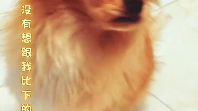 想知道与漫画人物碰撞有怎样的火花