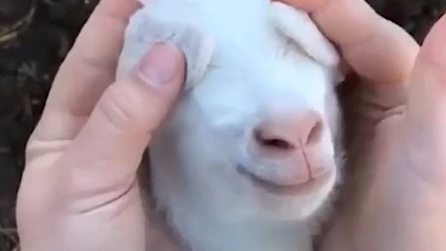 有哪些不小心露富的骚操作