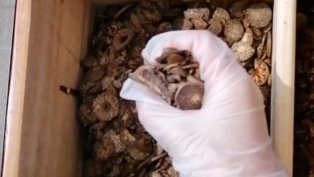 手抖？早发现早治疗早恢复