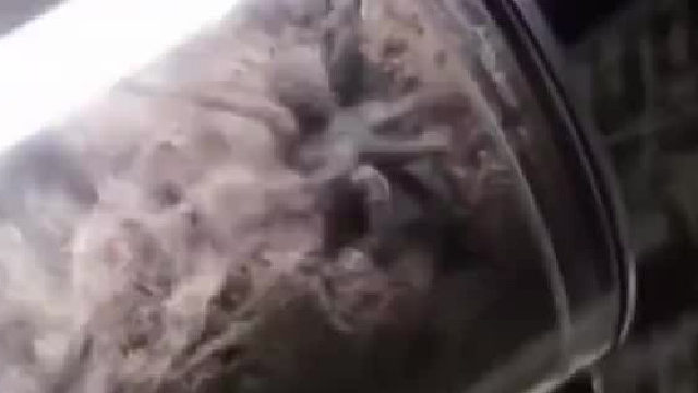 吸尘器里进了这个该怎么办？在线等，挺急的……