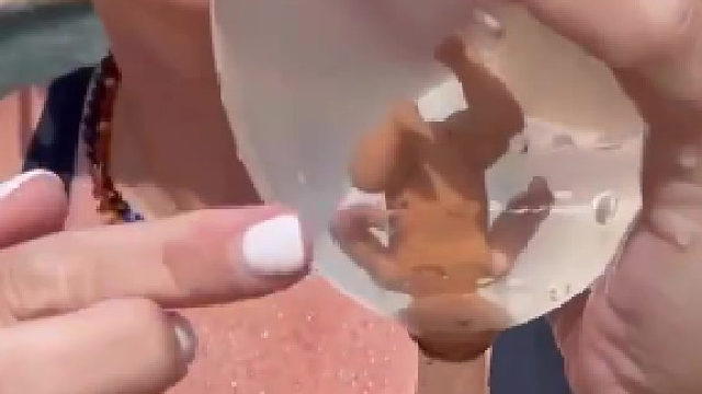 一段视频生动直观告诉你宝宝如何出生…