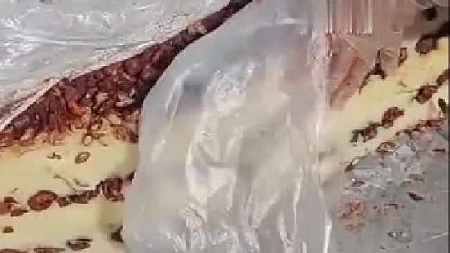 这个真的好吃吗，都知道坑人咋还有人买