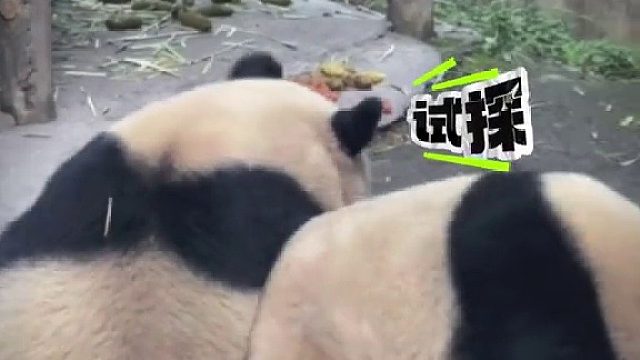 关于一张桌子引发的战斗