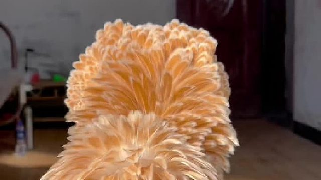 头发长真的不影响干饭的