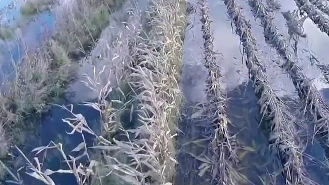 洪水威力到底有多大，为啥连钢筋混凝土都能冲垮03