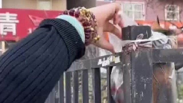 一猫咪死亡后挂在栅栏上！网友：不爱请不要伤害
