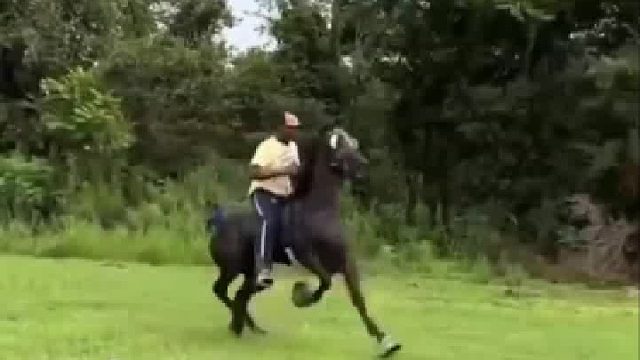 这么一看，马踏飞燕那表情也就不奇怪了…