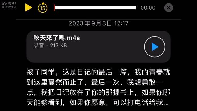 日记的最后一篇