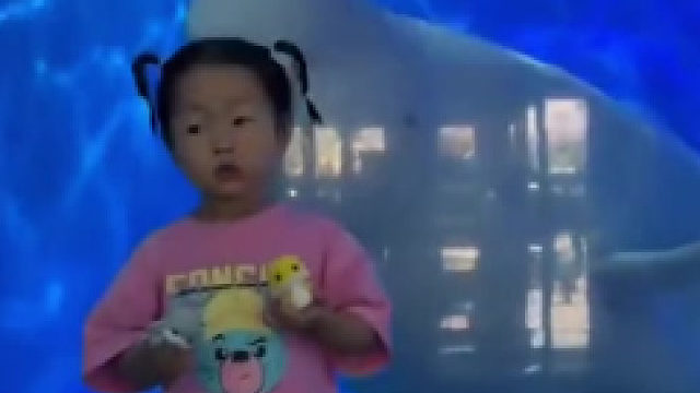 这头专门吓唬小朋友的白鲸又开始工作了～