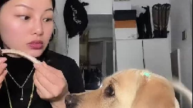 哈哈哈哈哈哈哈哈哈哈哈狗狗的暗示还不明显吗