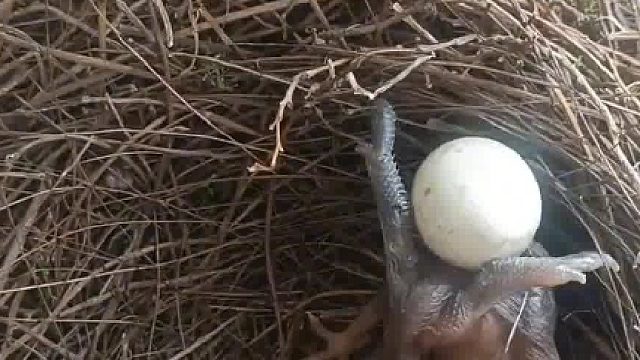 我发布了一个新视频，快来围观吧！