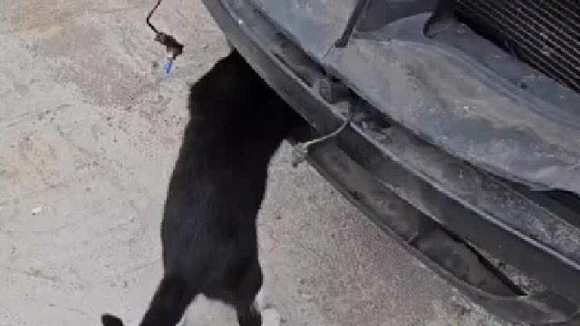 师傅做什么工作的