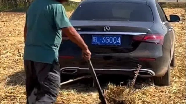 这是什么牛，没见过