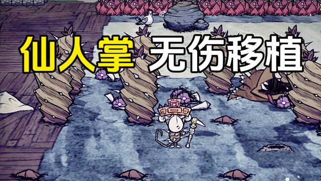 饥荒：海难中无伤移植仙人掌的方法