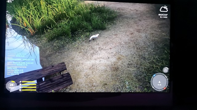 我的鱼有自己的想法