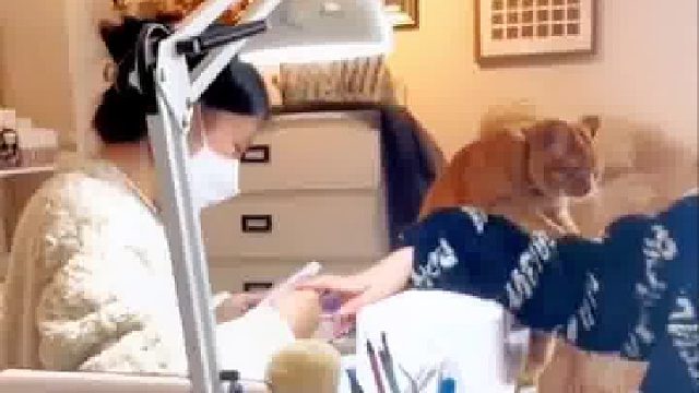 我媳妇说了必须办卡 一次体验了两种服务