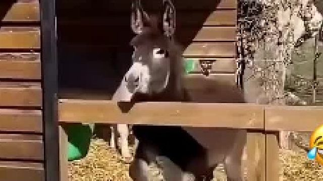 哈哈哈哈哈哈哈就......还挺突然的