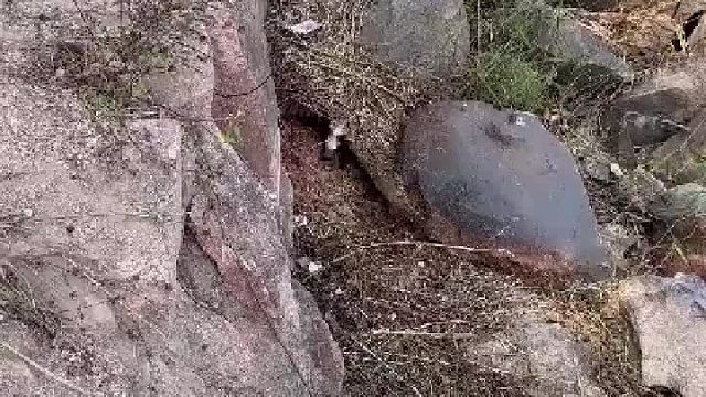 人有时候不能太无知啊。