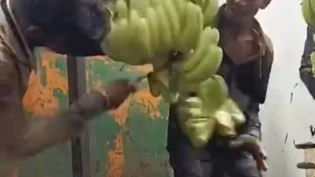 动作要快，姿势要帅，这才叫专业