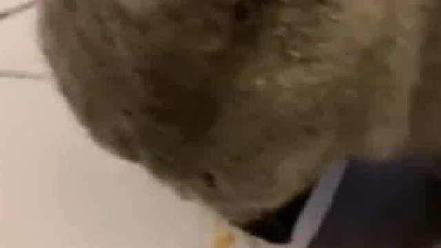 从小就护食应该怎么办？