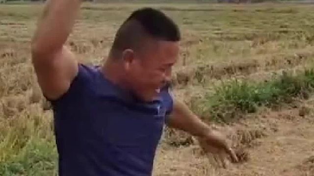 年轻人，我劝你耗子尾汁啊