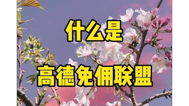 高德司机如何加入，高德快车车主加入流程，高德免佣联盟司机？