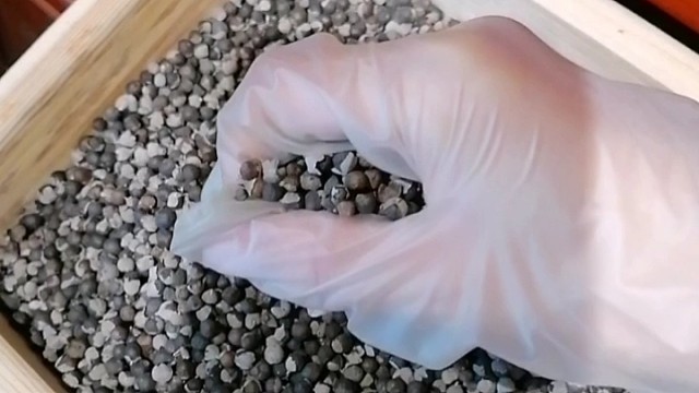 手抖？早发现早治疗早恢复