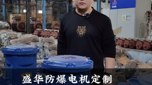 盛华防爆电机，满足更多场景需求。
