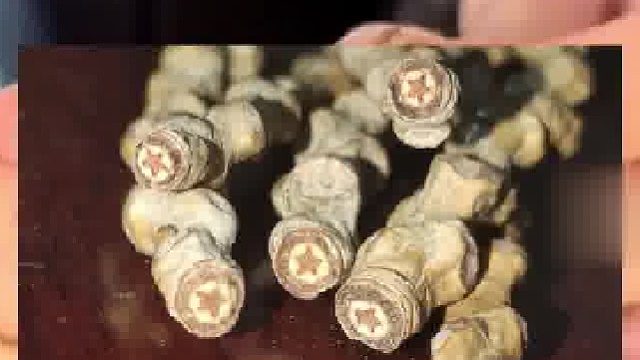 网友捡到烈士园里的树枝，掰开后每一节都有一颗五角星！