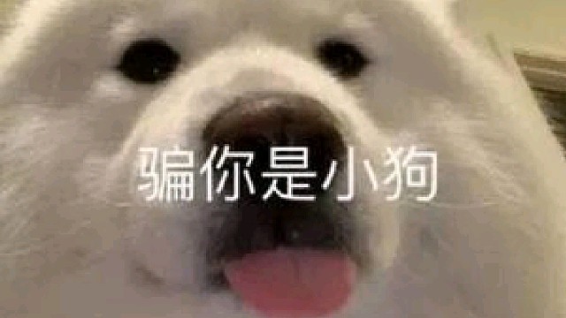 奇迹联盟有输出了