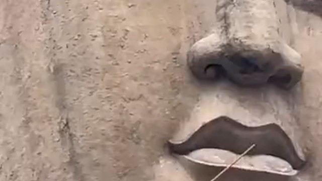 佛度众生，有个马蜂窝咋了？