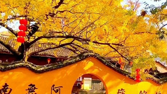 退休了就来这个养老的好地方终于找到了