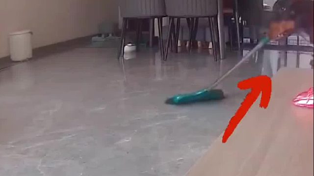 狗狗独自在家，叼着扫把开始“扫地”，主人看着监控惊呆了！