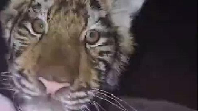 那么可爱的宝宝 就搂着睡呗